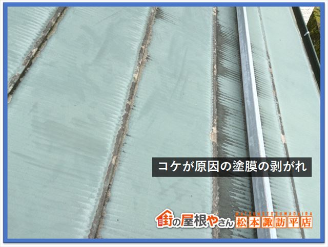 茅野市屋根外壁現調　北面コケ